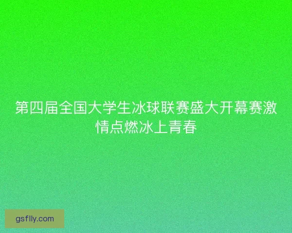 第四届全国大学生冰球联赛盛大开幕赛激情点燃冰上青春